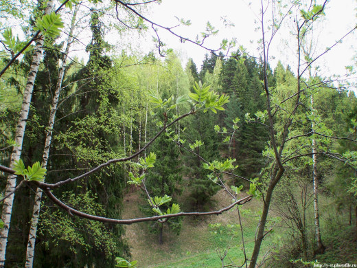 29396 (a): :1024x768
